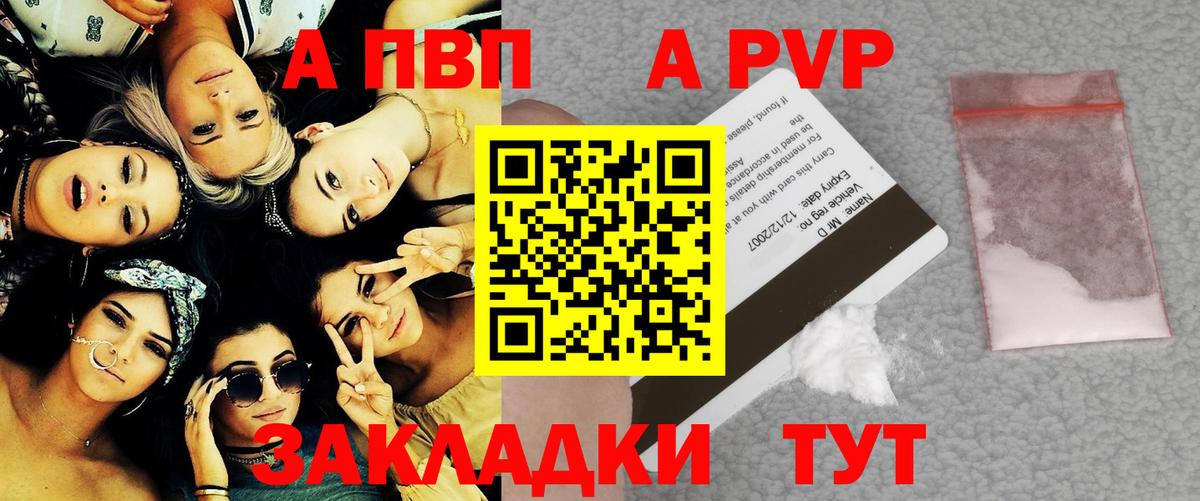 A-PVP СК КРИС Сыктывкар