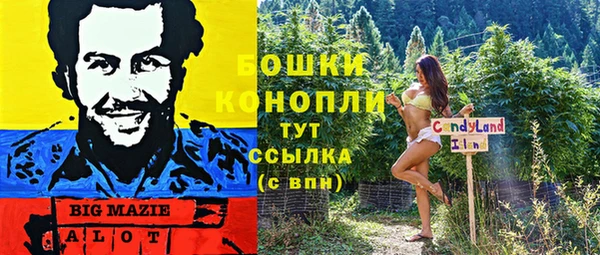 соль ск Алексин