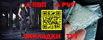 СК Кингисепп