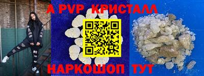 СК Кингисепп