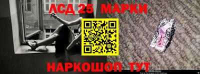СК Кингисепп