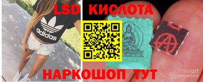 трава Кинель