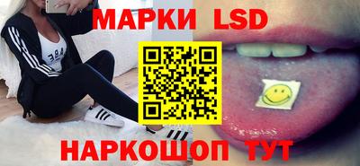 СК Кингисепп