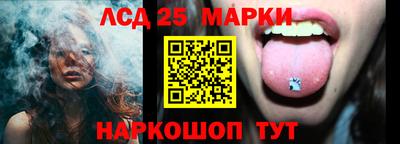 СК Кингисепп