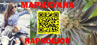 СК Кингисепп