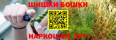 СК Кингисепп