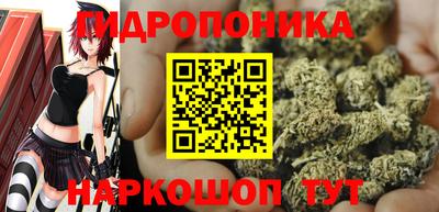 СК Кингисепп