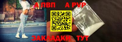 СК Кингисепп