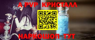 СК Кингисепп