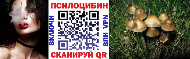 мега зеркало  наркота  Сыктывкар  Галлюциногенные грибы GOLDEN TEACHER 