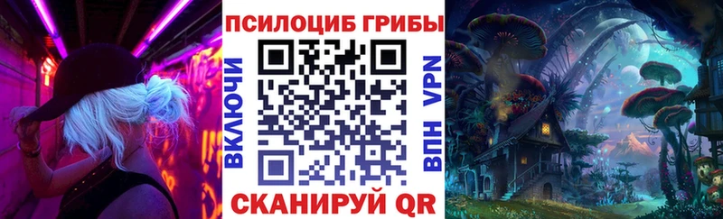 Псилоцибиновые грибы ЛСД Сыктывкар