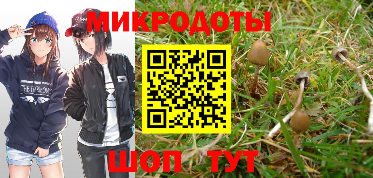Галлюциногенные грибы мухоморы  Галлюциногенные грибы GOLDEN TEACHER  Сыктывкар  Вход с VPN 