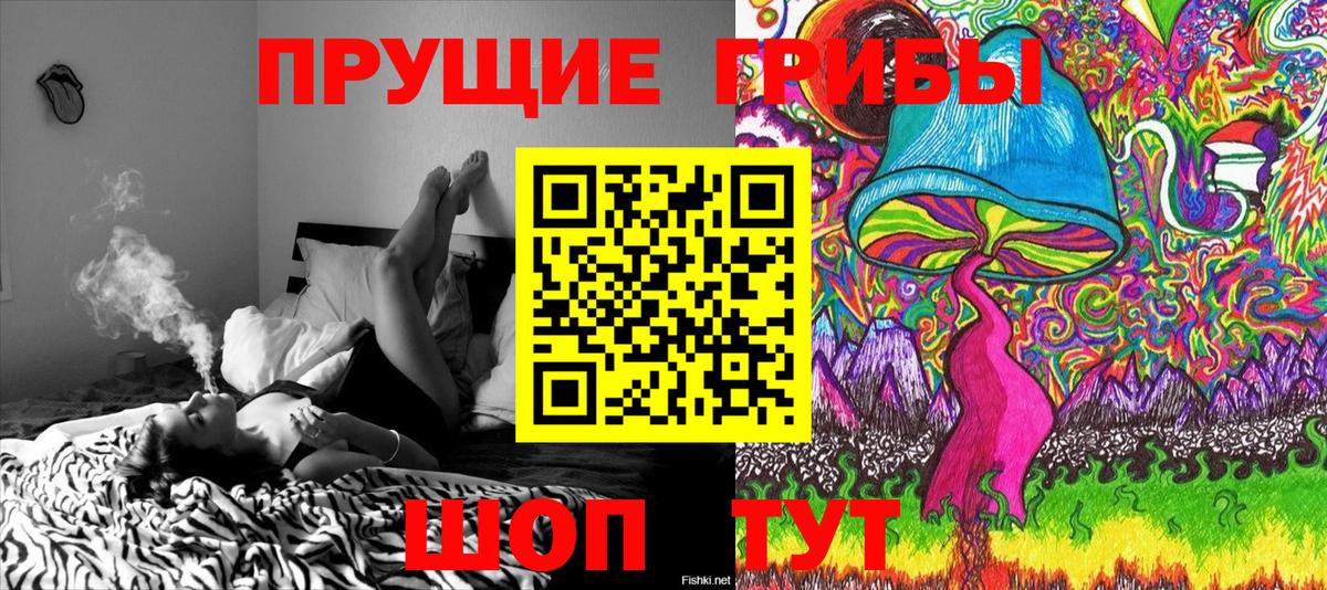 Кодеин Сыктывкар